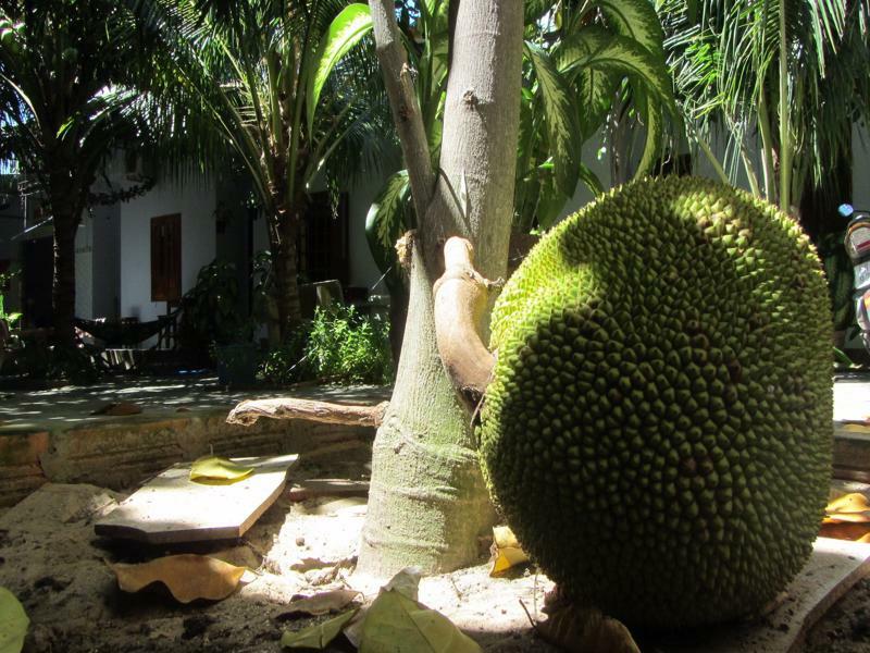 Duc Thao Guest House Mui Ne Exterior foto