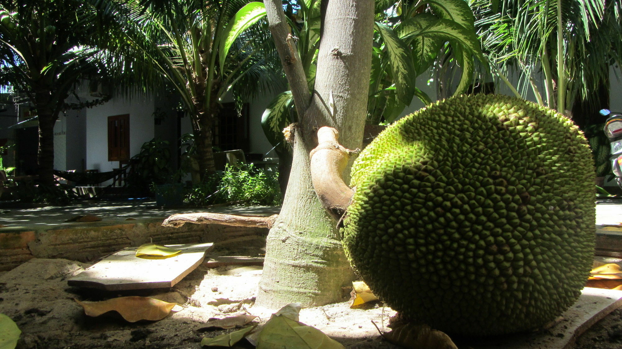 Duc Thao Guest House Mui Ne Exterior foto