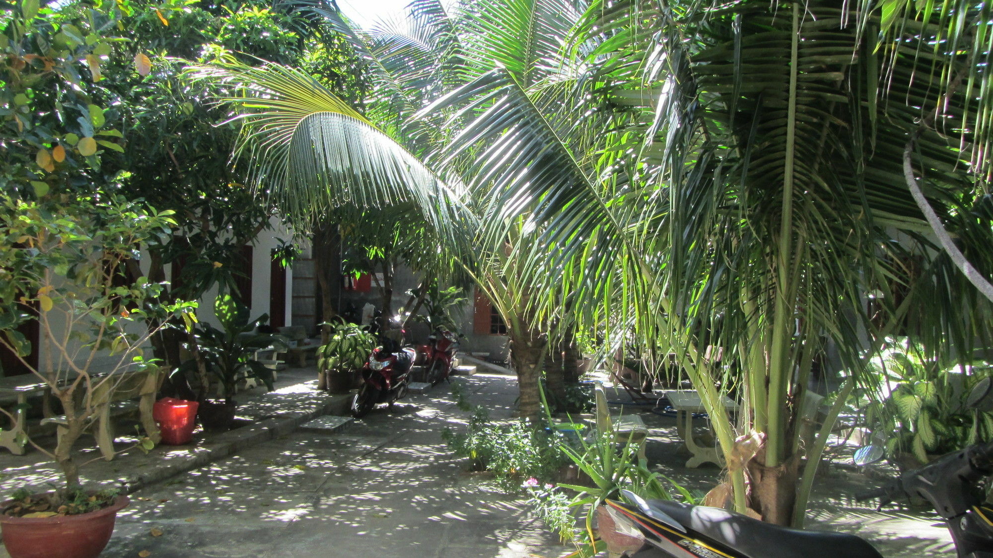 Duc Thao Guest House Mui Ne Exterior foto
